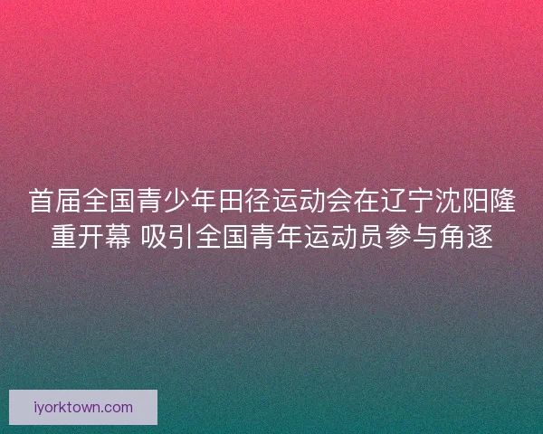 首届全国青少年田径运动会在辽宁沈阳隆重开幕 吸引全国青年运动员参与角逐