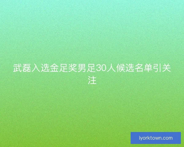 武磊入选金足奖男足30人候选名单引关注